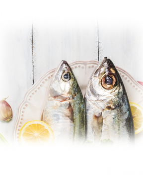 Calamars farcis au riz