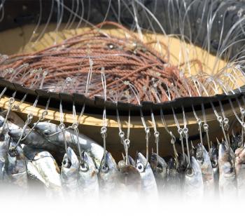 Techniques de pêche